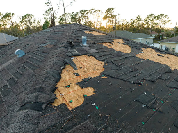 Best Asphalt Shingle Roofing  in Gold Beach, OR